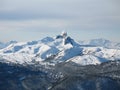 Black Tusk Royalty Free Stock Photo