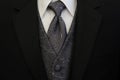 Black Tuxedo Silver Tie and Vest Royalty Free Stock Photo