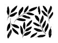 Black twig, leaves or sprig silhouettes collection Royalty Free Stock Photo