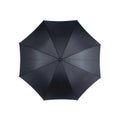 Black umbrella