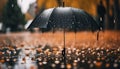 Black umbrella and rain in the autumn, generative ai Royalty Free Stock Photo