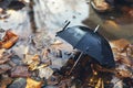 Black umbrella in a poddle with autumn fall leaves. Autumn concept Royalty Free Stock Photo