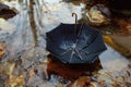 Black umbrella in a poddle with autumn fall leaves. Autumn concept Royalty Free Stock Photo