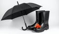 Black umbrella and rain boots with autumn leaf on white background fall weather Royalty Free Stock Photo