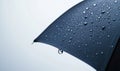 A black umbrella with raindrops on it Royalty Free Stock Photo