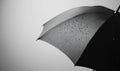 A black umbrella with raindrops on it Royalty Free Stock Photo