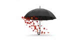 A black umbrella from which autumn leaves fly out. Space for text. Royalty Free Stock Photo