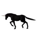 Black Unicorn