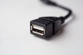OTG USB Hosting Cable Royalty Free Stock Photo