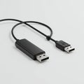 Black USB transfer cable with two connectors on each end. The larger connector has Royalty Free Stock Photo