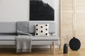 Black vase with cotton flower on the floor of bright trendy living room with grey sofa with pillow and warm blanket, real photo