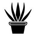 black vector aloe vera icon on white background Royalty Free Stock Photo