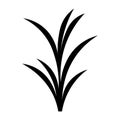 black vector blade grass icon on white background Royalty Free Stock Photo