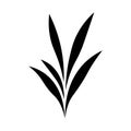 black vector blade grass icon on white background Royalty Free Stock Photo