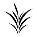 black vector blade grass icon on white background Royalty Free Stock Photo