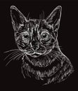 Black vector cat portrait 8 Royalty Free Stock Photo