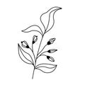 Black vector hand-drawn floral and botany elements. Autumn Royalty Free Stock Photo