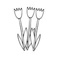 Black Vector illustration of a group of three tulip flowers with leaves isolated on a white background