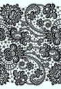 Black Vector Lace. Royalty Free Stock Photo
