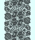 Black Vector Lace. Royalty Free Stock Photo