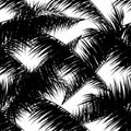 Black vector palm trees. Hand drawn seamless pattern. Summer  tropical palm tree leaves seamless pattern. Abstract nature Royalty Free Stock Photo