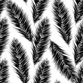 Black vector palm trees. Hand drawn seamless pattern. Summer tropical palm tree leaves seamless pattern. Abstract nature Royalty Free Stock Photo