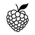 black vector raspberry icon on white background