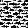 Black vector seamless pattern with fish silhouettes. Royalty Free Stock Photo