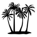 Black vector single palm tree silhouette icon isolated Royalty Free Stock Photo