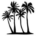 Black Vector Single Palm Tree Silhouette Icon Isolated