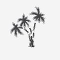 Black vector single palm tree silhouette icon isolated Royalty Free Stock Photo