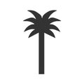 Black vector single palm tree silhouette icon isolated illustration Royalty Free Stock Photo