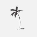 Black vector single palm tree silhouette icon isolated Royalty Free Stock Photo