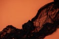 Black veil on an orange background close-up. Decorations for Halloween. Place for text, banner. The afterlife, the ghost