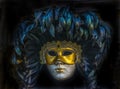 Black Venetian Mask Venice Italy Royalty Free Stock Photo