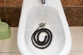 A black venomous snake is curled up in a bidet in toilet