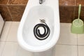 A black venomous snake is curled up in a bidet