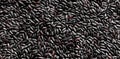 Black Venus Integral Rice Grains closeup background texture