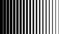 Black vertical lines on halftone white background. Linear graphic illustration. Vertical lines. Geometric element. Geometric Royalty Free Stock Photo