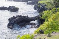 Black volcanic rock formation in Hawaii