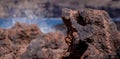 Black volcanic rock with the sea at background Royalty Free Stock Photo