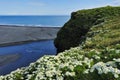 Black volcanic sand beach at Dyrholaey, Iceland