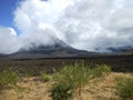 Black volcano cone with green trees on lava field