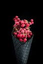 Black wafer cone with frozen redcurrant fruits. Ice cream Royalty Free Stock Photo