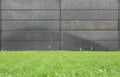 Black wall made of concrete blocks with a green meadow in front.