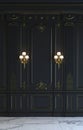 Black wall panels in classical style with gilding. 3d rendering