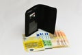 Euro money banknotes and wallet. isolated Royalty Free Stock Photo