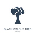 black walnut tree icon in trendy design style. black walnut tree icon isolated on white background. black walnut tree vector icon Royalty Free Stock Photo