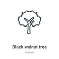 Black walnut tree outline vector icon. Thin line black black walnut tree icon, flat vector simple element illustration from