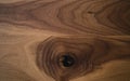 Black walnut wood texture from two boards oil finished Royalty Free Stock Photo